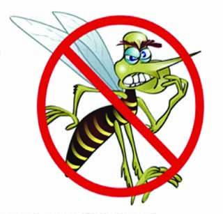 Dengue patient found | डेंग्यूचा रूग्ण आढळला Dengue patient found | डेंग्यूचा रूग्ण आढळला