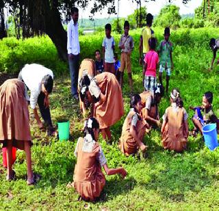Cleanliness campaign created history | स्वच्छता अभियानाने घडवला इतिहास Cleanliness campaign created history | स्वच्छता अभियानाने घडवला इतिहास