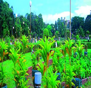 33 plots will grow in the park | 33 भूखंडांवर उद्याने बहरणार