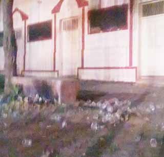 After the BJP meeting, | भाजपच्या सभेनंतर परिसरात कच-याचा ढीग