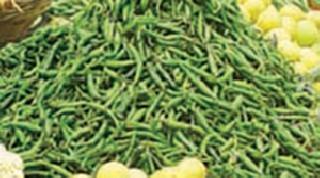 Chilli, Cilantro @ 100! | मिरची, कोथिंबीर @100!