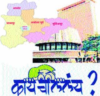 Local leaders win the victory! | विजयाची मदार स्थानिक नेत्यांवरच!