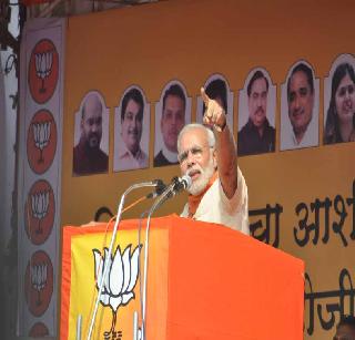 '5 F' formula for cotton! | कापसासाठी ‘५ एफ’ फॉर्म्यूला!