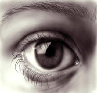 Appeal to vote for the World blind | जागतिक अंधदिनी डोळसपणे मतदान करण्याचे आवाहन Appeal to vote for the World blind | जागतिक अंधदिनी डोळसपणे मतदान करण्याचे आवाहन