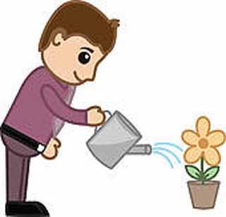 Students spontaneously flower garden | विद्यार्थ्यांनी स्वयंस्फूर्तीने फुलविली बाग