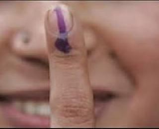 The voting percentage increased after noon | दुपारनंतर मतदानाचा टक्का वधारला