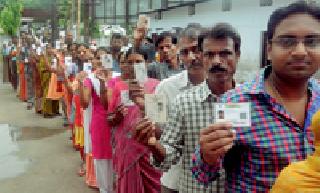 Young Brigade Lead to Vote | यंग ब्रिगेडची मतदानात आघाडी Young Brigade Lead to Vote | यंग ब्रिगेडची मतदानात आघाडी