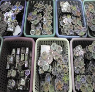 Colorful boats flooded the market | रंगीबेरंगी पणत्यांनी बाजार फुलला