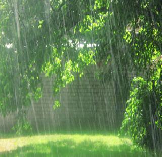 Monsoon returns from India! | अध्र्या भारतातून मान्सून परतला! Monsoon returns from India! | अध्र्या भारतातून मान्सून परतला!