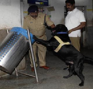 Police Shot Katrina 'Shaheed' while performing duty | कर्तव्य बजावतांनाच पोलीस श्वान कॅटरीना ‘शहीद’