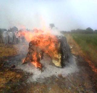 Soya bean fire; Loss of millions | सोयाबीनच्या गंजीला आग; लाखोंचे नुकसान