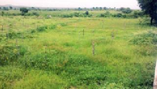 Playground fund fall? | क्रीडांगणाचा निधी गडप? Playground fund fall? | क्रीडांगणाचा निधी गडप?