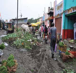 Akola vegetable market sale sick! | अकोला भाजीबाजारातून आजारांची विक्री! Akola vegetable market sale sick! | अकोला भाजीबाजारातून आजारांची विक्री!