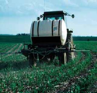 Spraying expensive medicines | महागड्या औषधांची फवारणी