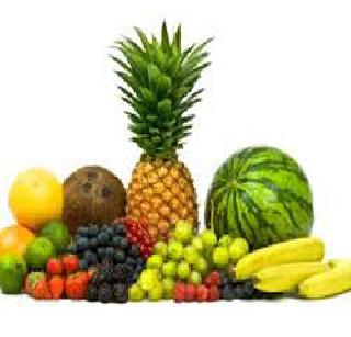 Throughout the e-plan of the Ashram Shala, | आश्रमशाळांची फळखरेदी ई-निविदेऐवजी समितीमार्फत