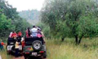 Thousands of tourists are shocked | अन् पर्यटकांचा उडाला थरकाप Thousands of tourists are shocked | अन् पर्यटकांचा उडाला थरकाप