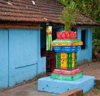 Tulsi wedding starts from today | तुळशी विवाहाला आजपासून सुरूवात Tulsi wedding starts from today | तुळशी विवाहाला आजपासून सुरूवात