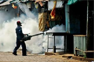 Dengue spray failure | डेंग्यूवरील फवारणी कुचकामी Dengue spray failure | डेंग्यूवरील फवारणी कुचकामी