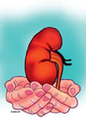 'Brain Dead' is not a Patient Report! | ‘ब्रेन डेड’ रुग्णांची नोंदच नाही!