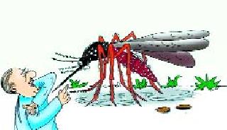 Dangue is a fatal turn | डेंग्यूने घेतले घातक वळण Dangue is a fatal turn | डेंग्यूने घेतले घातक वळण
