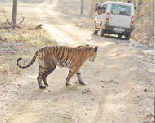 All the tourist destinations are still in category 'A' category | सर्व पर्यटनस्थळं अजूनही ‘क’ वर्ग श्रेणीतच