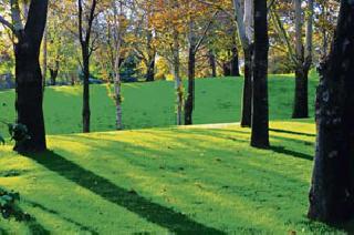 Yash Chopra's hero-heroine in the movie? | यश चोप्राच्या सिनेमातले नायक-नायिका? Yash Chopra's hero-heroine in the movie? | यश चोप्राच्या सिनेमातले नायक-नायिका?