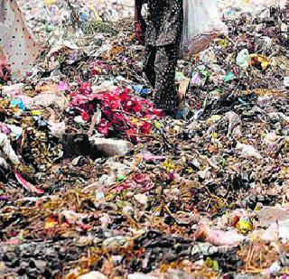 Where to remove the garbage? | उचललेला कचरा टाकायचा कुठे?