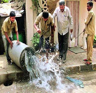 Breeding of dengue mosquitoes in 3,948 places | डेंग्यूच्या डासांची 3,948 ठिकाणी पैदास