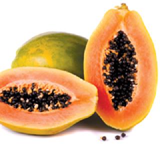 Dengue papaya transcript! | डेंग्यूवर पपईचा उतारा! Dengue papaya transcript! | डेंग्यूवर पपईचा उतारा!