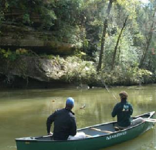 Seven Saturn will be free of any sediment | सातपाटी खाडी होणार गाळमुक्त