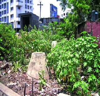 Imlite growing unauthorized projects | अनधिकृत प्रकल्पांचे वाढताहेत इमले