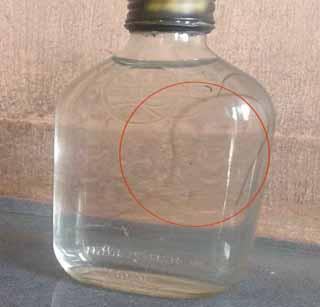 Sarcastic germs in drinking water | पिण्याच्या पाण्यात नारूसदृश जंतू Sarcastic germs in drinking water | पिण्याच्या पाण्यात नारूसदृश जंतू