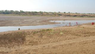 Pay attention to the environment in Vidarbha | विदर्भातील पर्यावरणाकडे लक्ष द्या