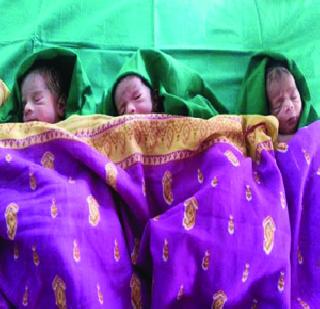 Mother gave birth to Tilayas in Nimbawarwadi near Chowk | चौकजवळील निंबरवाडीत मातेने दिला तिळय़ांना जन्म Mother gave birth to Tilayas in Nimbawarwadi near Chowk | चौकजवळील निंबरवाडीत मातेने दिला तिळय़ांना जन्म