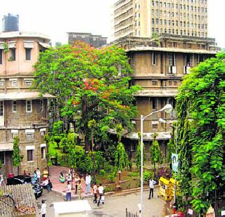 Plasma center closed for 11 years | प्लाङमा सेंटर तब्बल 11 वर्षे बंद