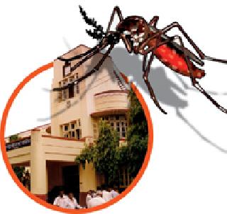 The death of 293 patients with positive | २९३ रुग्ण पॉझिटिव्ह चौघांचा मृत्यू The death of 293 patients with positive | २९३ रुग्ण पॉझिटिव्ह चौघांचा मृत्यू