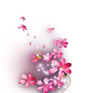 Aroma | सुगंधदान