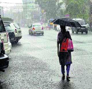 Sadly rabbinic advantage | अवकाळी पावसाचा रब्बीला फायदा Sadly rabbinic advantage | अवकाळी पावसाचा रब्बीला फायदा