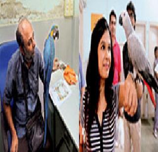 The University of Mumbai University filled with animals! | मुंबई विद्यापीठात भरली प्राण्यांची जत्रा!