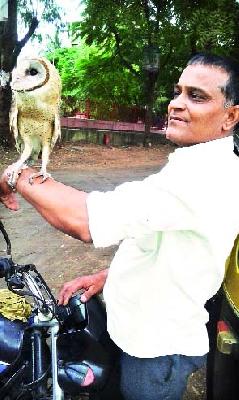 Owl survived the child's life. | घुबडाच्या पिलाचे प्राण वाचले.
