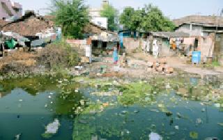 The nuggets of mosquitoes originated | डासांच्या उत्पत्तीला डबके पोषक The nuggets of mosquitoes originated | डासांच्या उत्पत्तीला डबके पोषक