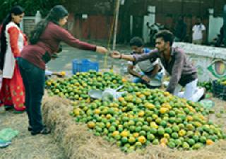 Nagpurpuri Orange Street | नागपुरी संत्रा रस्त्यावर