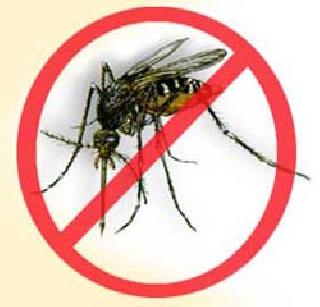 Doubtful of death of a woman in Mulund | मुलुंडमध्ये महिलेचा डेंग्यूने मृत्यू झाल्याचा संशय