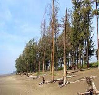 Seaside security arrangements | समुद्रकिना-याची सुरक्षाव्यवस्था वा-यावर Seaside security arrangements | समुद्रकिना-याची सुरक्षाव्यवस्था वा-यावर