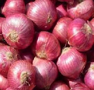 Onion will cry all over again | कांदा पुन्हा सगळ्यांना रडविणार Onion will cry all over again | कांदा पुन्हा सगळ्यांना रडविणार