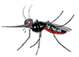 How to prevent dengue? | ‘डेंग्यू’ कसा रोखणार ? How to prevent dengue? | ‘डेंग्यू’ कसा रोखणार ?