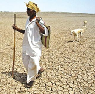 525 villages of the Chief Minister's district suffer from drought | मुख्यमंत्र्यांच्या जिल्ह्यातील ५२५ गावांना दुष्काळाची झळ