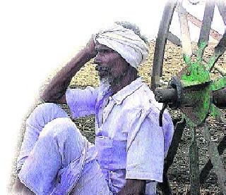 In the rabbi it is not the same | खरिपात ‘पेरते व्हा’चा आरव झाला नाही.. रब्बीतही तो बरसलाच नाही In the rabbi it is not the same | खरिपात ‘पेरते व्हा’चा आरव झाला नाही.. रब्बीतही तो बरसलाच नाही