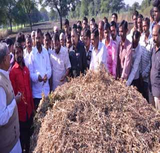 Give 50,000 ha of ha | हेक्टरी ५0 हजार मदत द्या