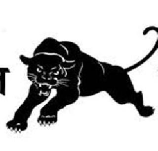 Dalit Panther is getting active again! | दलित पँथर पुन्हा सक्रिय होतोय !